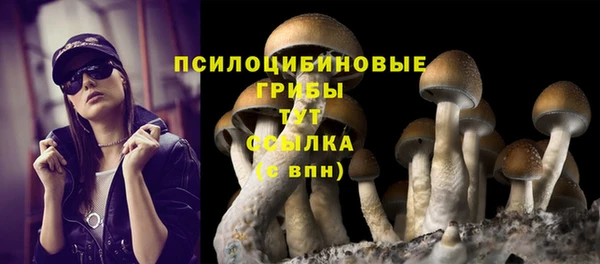 дмт Куйбышев