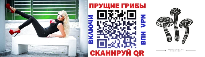 Галлюциногенные грибы GOLDEN TEACHER  MEGA онион  Шимановск 